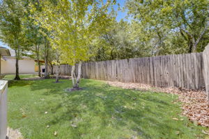 Meadows Forest Dr-045