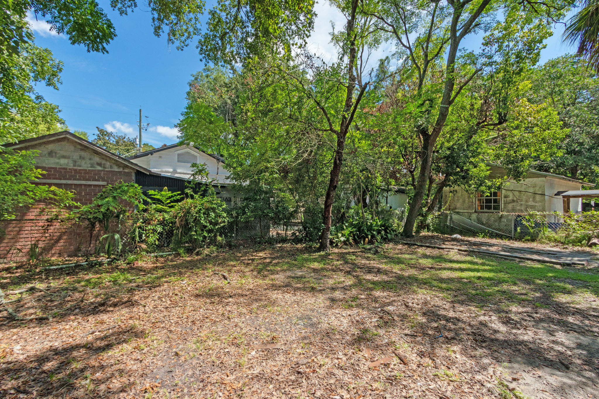 Back Yard