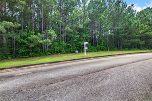  Photo 0