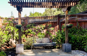  Photo 44
