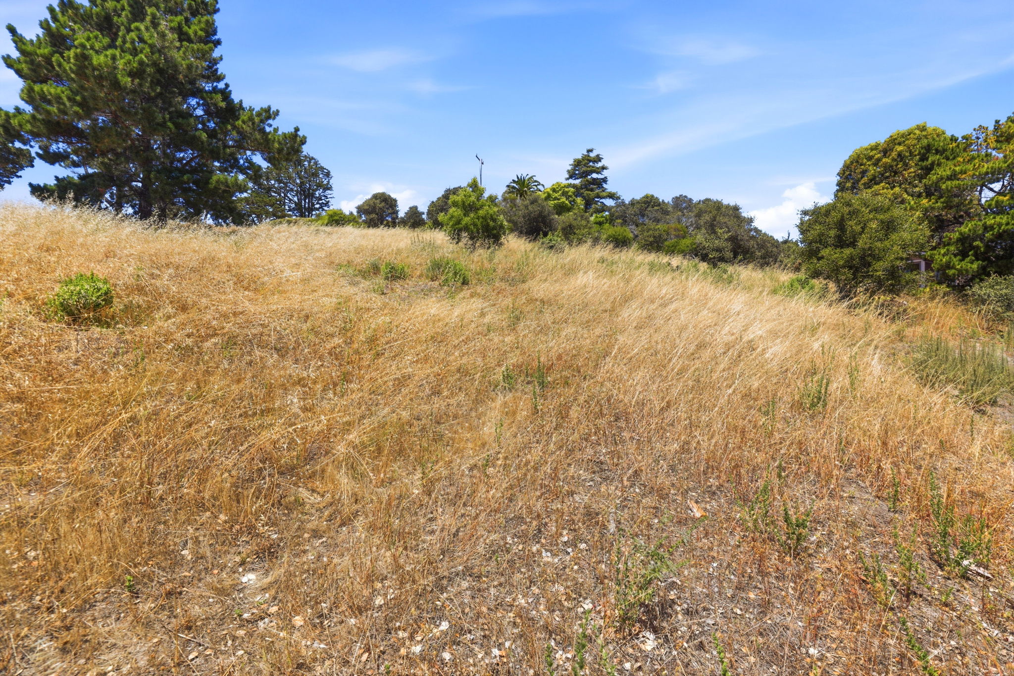 013_F8_4215 Marguerita Way