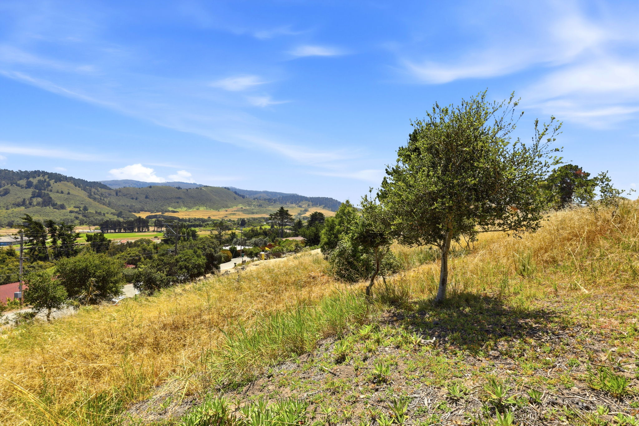 019_F8_4215 Marguerita Way