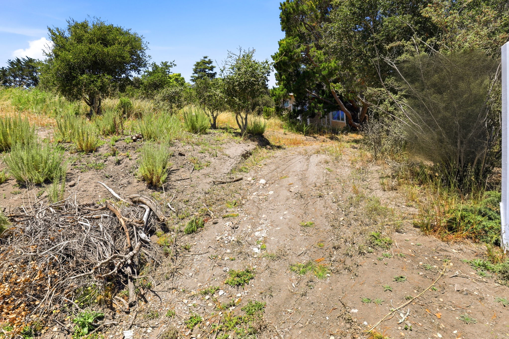 022_F8_4215 Marguerita Way