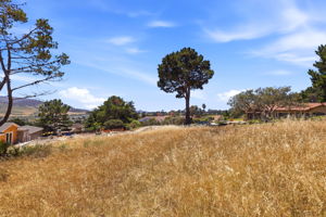 010_F8_4215 Marguerita Way