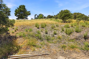 014_F8_4215 Marguerita Way