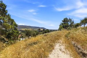 016_F8_4215 Marguerita Way