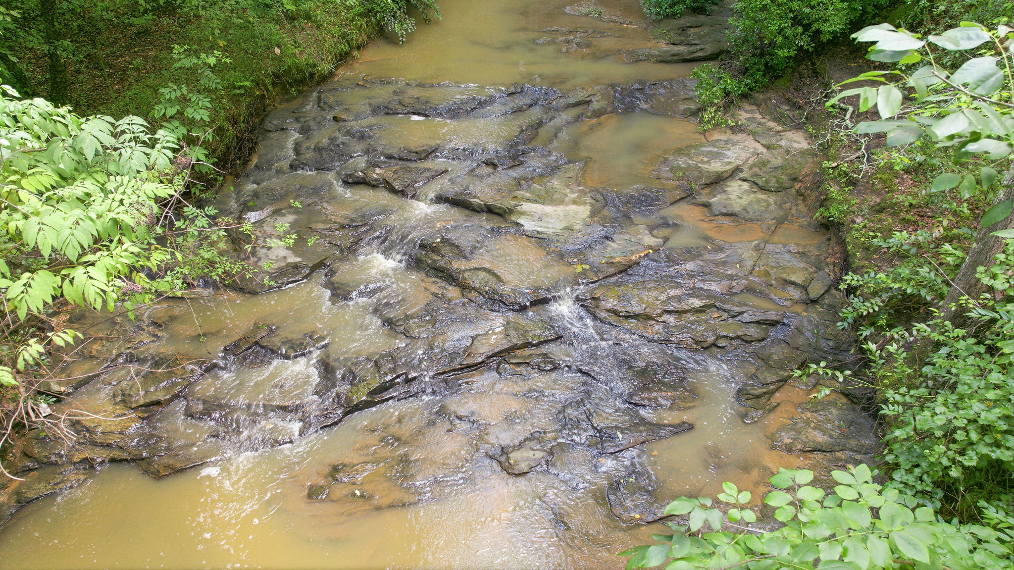 Image-25