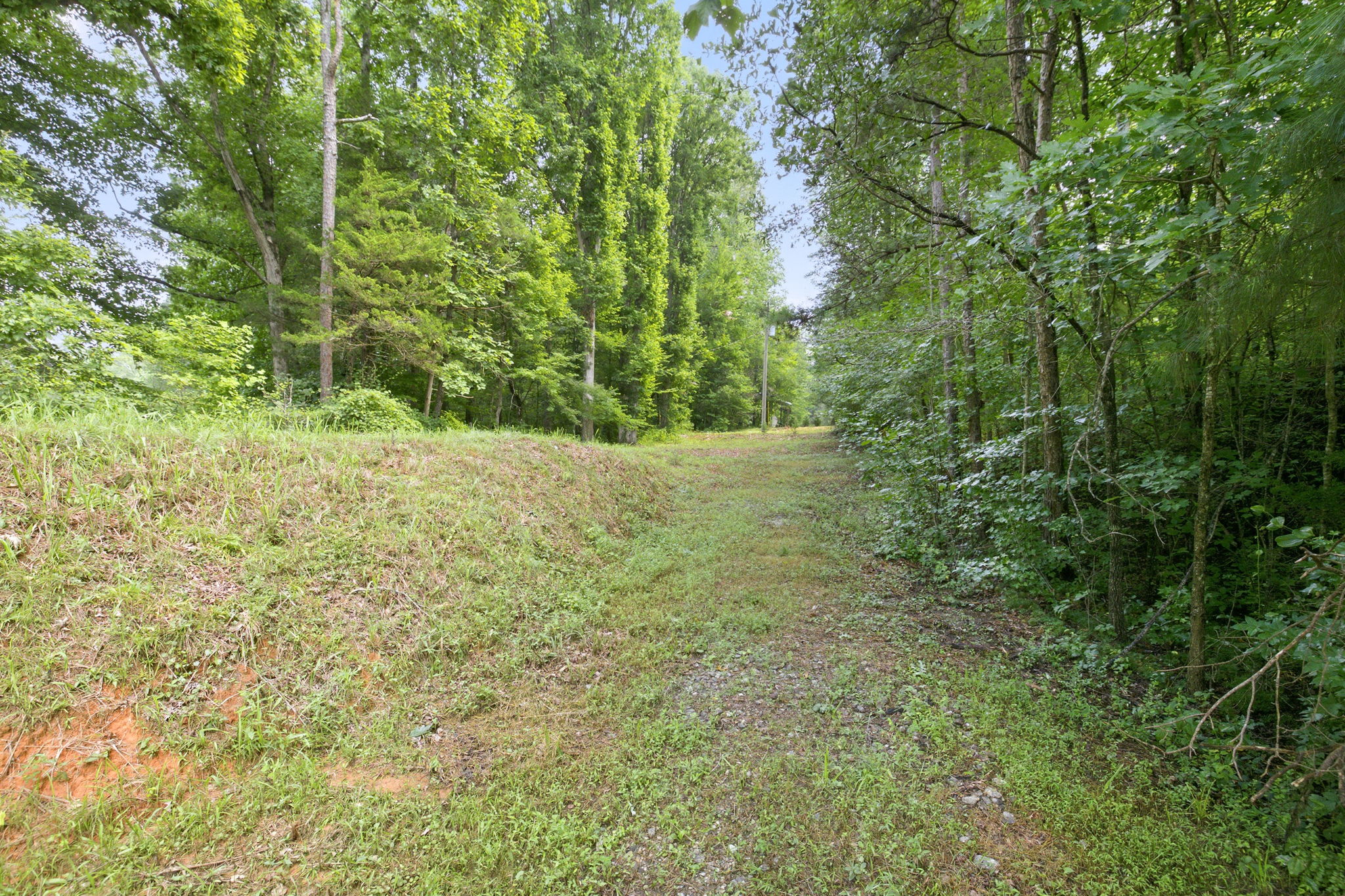 Image-28