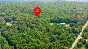 Image-7