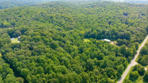 Image-8