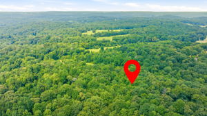 Image-14