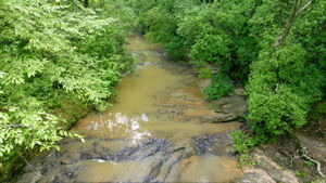 Image-23