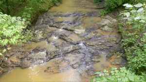 Image-25