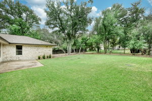 Back Yard