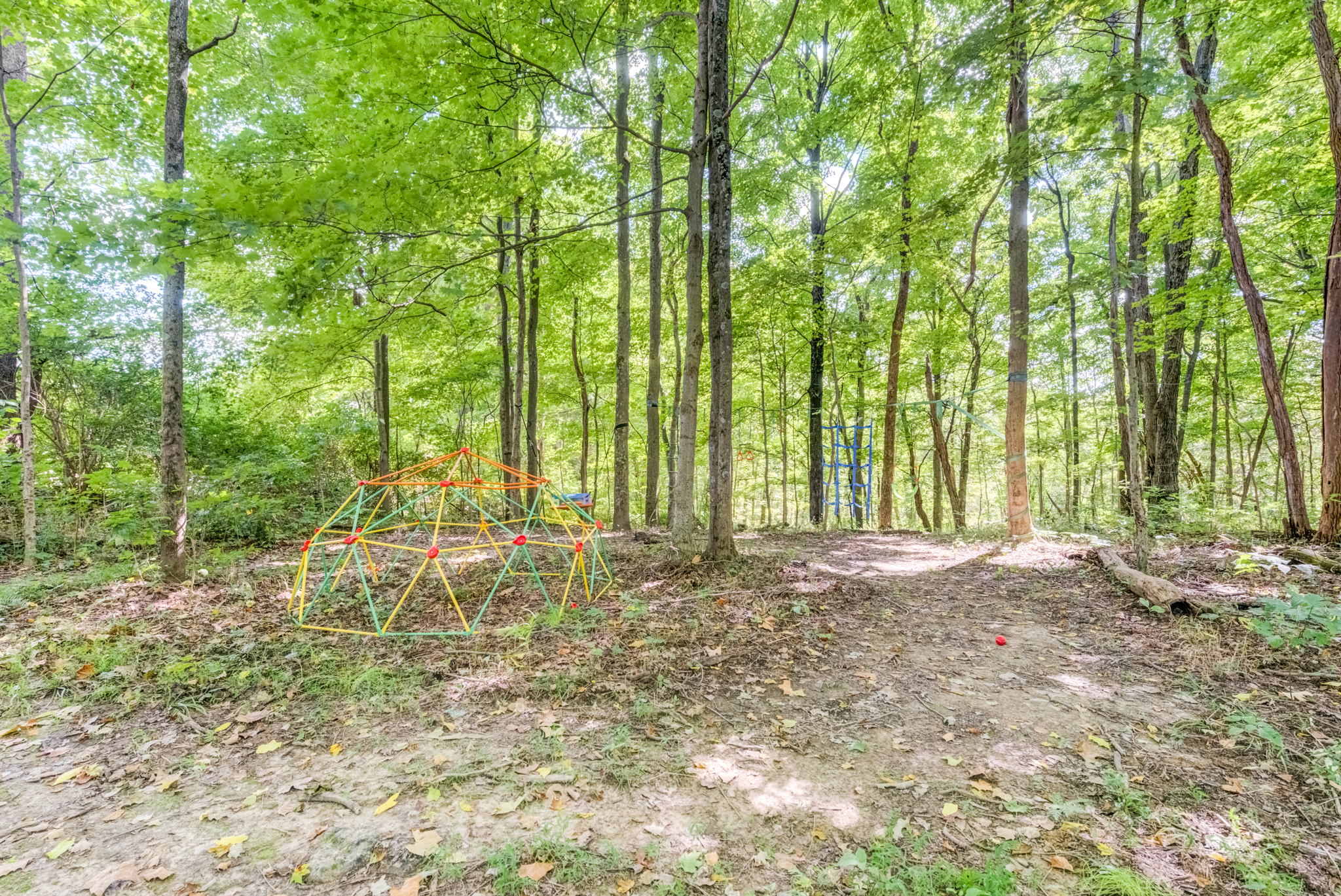 34 Backyard