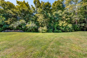 31 Backyard