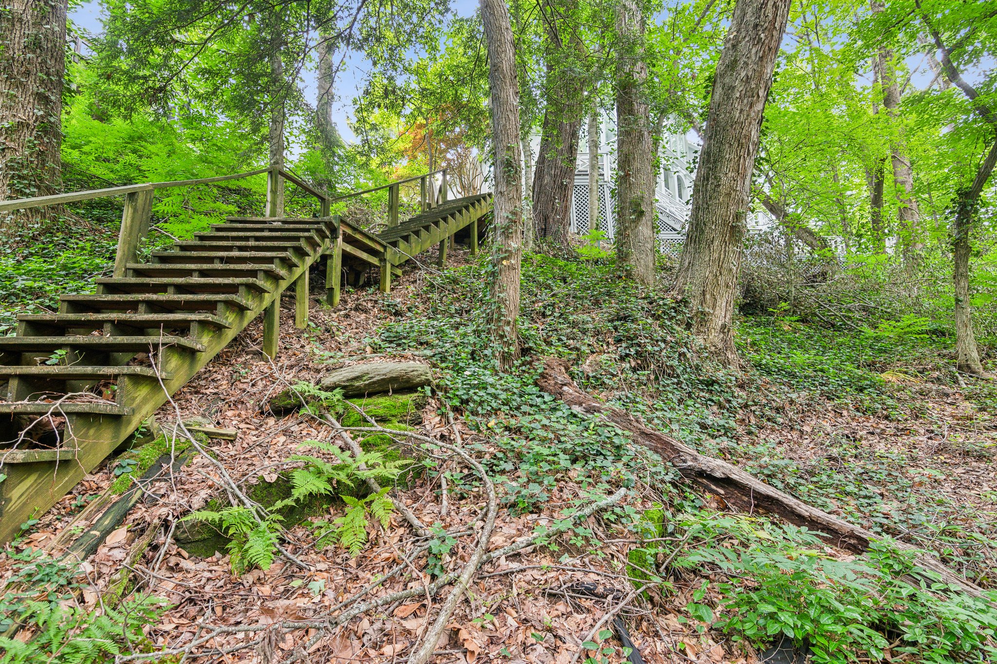 Local_Flavor_Films-4217_Wieuca_Overlook_Buckhead_GA-536.jpg