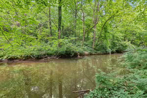 Local_Flavor_Films-4217_Wieuca_Overlook_Buckhead_GA-531.jpg