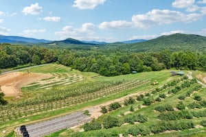 Roy Rd-0907-901.jpg
