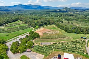 Roy Rd-0907-906.jpg
