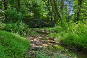 Roy Rd-S0907-070.jpg