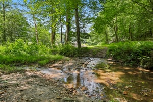Roy Rd-S0907-071.jpg