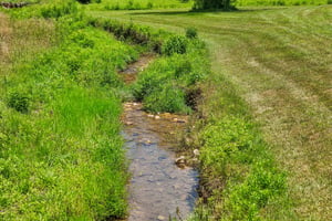 Roy Rd-S0907-091.jpg