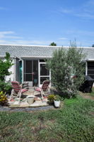 Backyard2