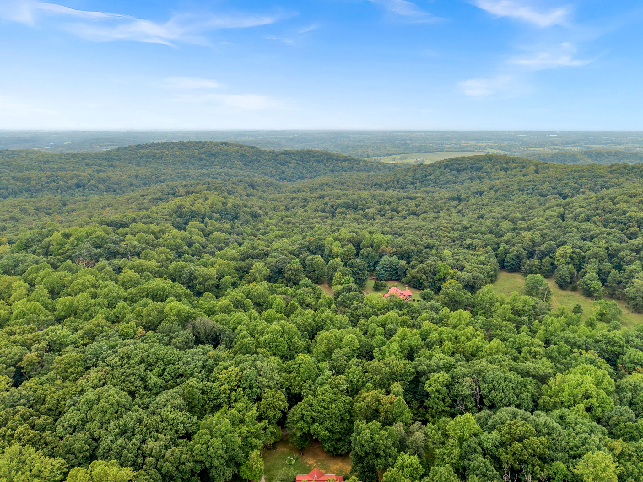  Photo 99