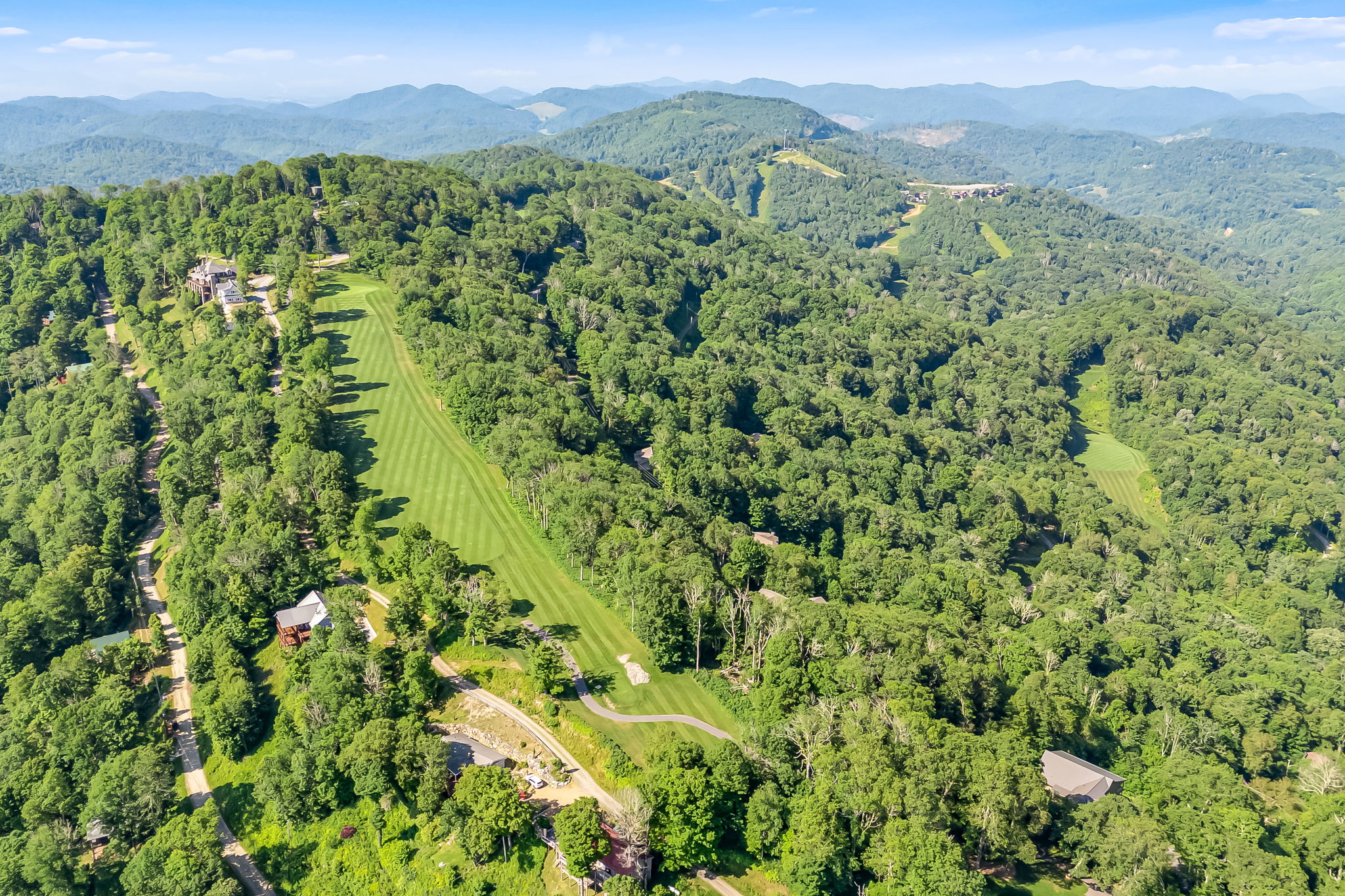 Signature golf green