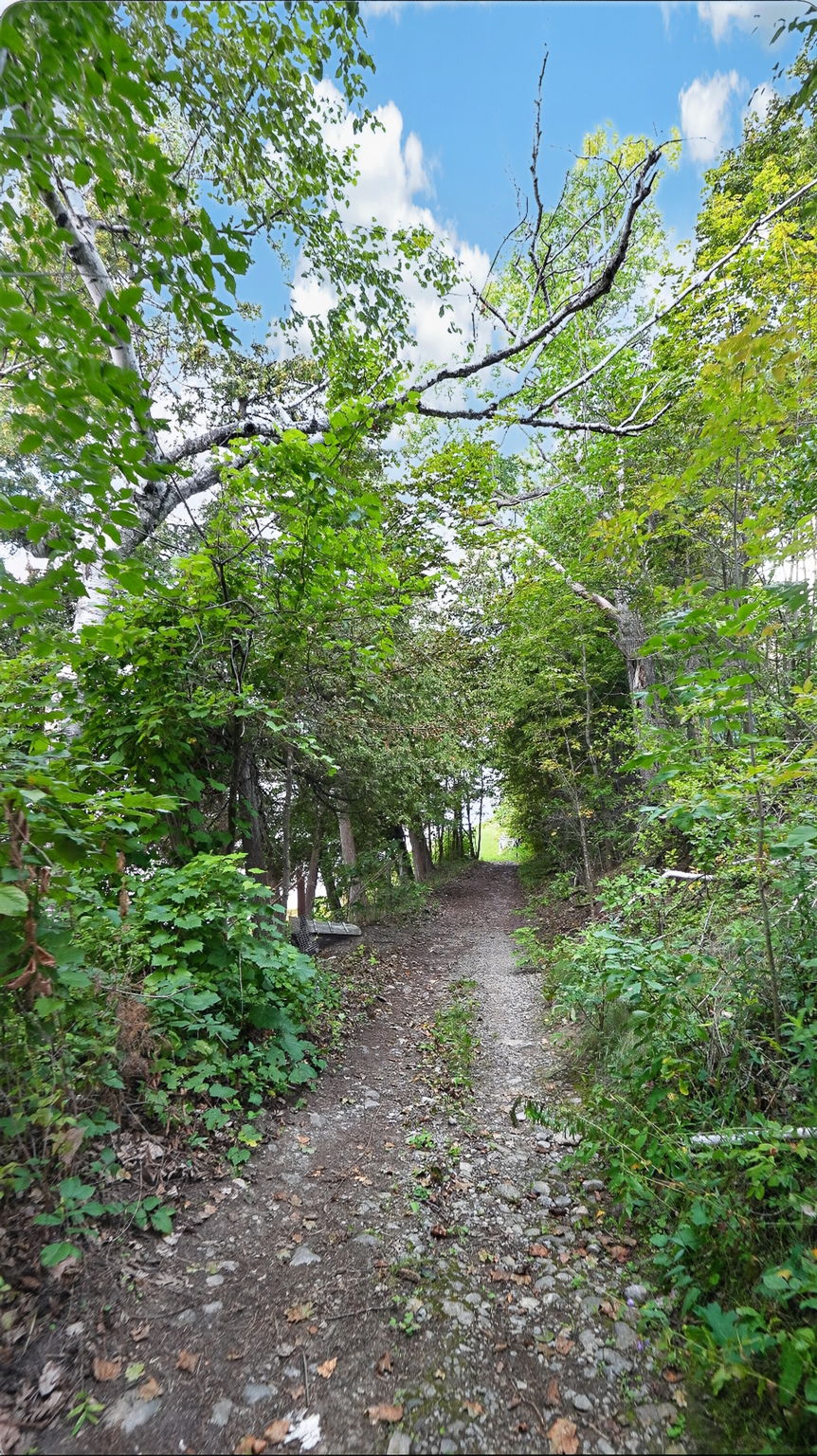  Photo 52