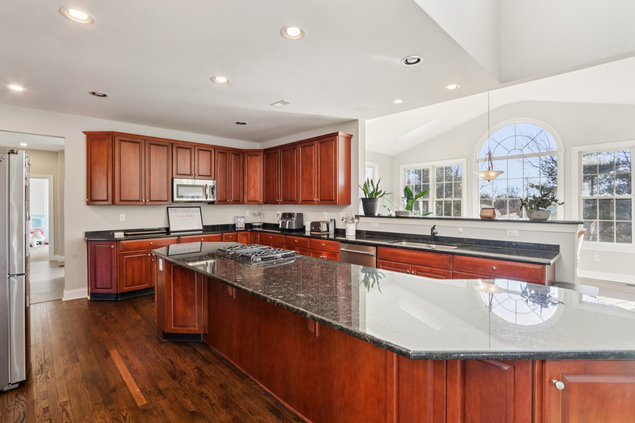 Lotus Ln-S2312-029.jpg