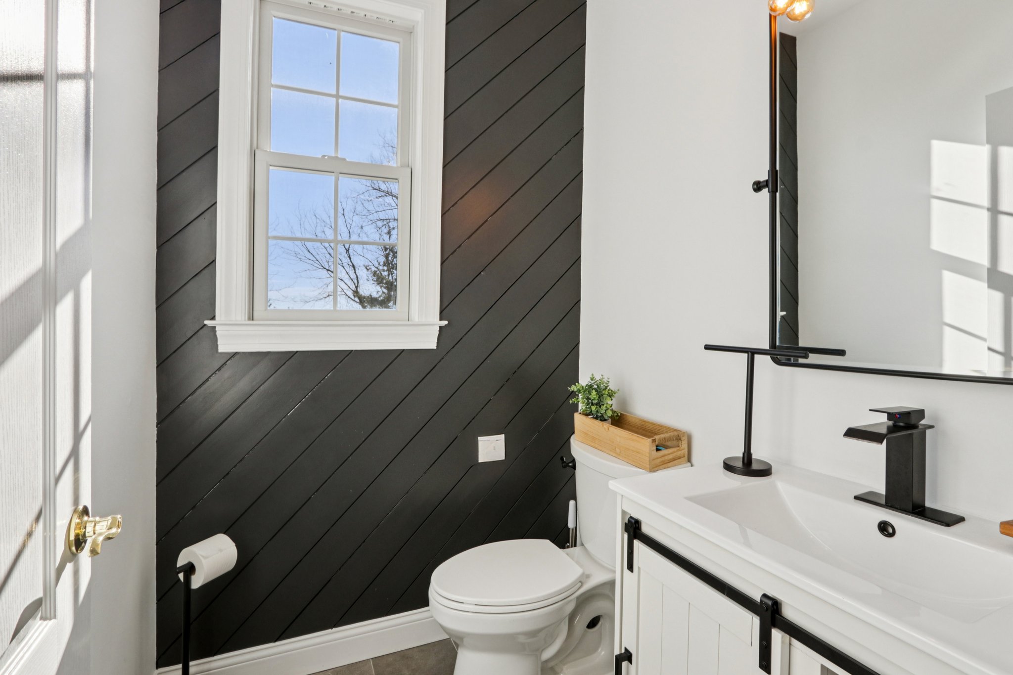 Lotus Ln-S2312-037.jpg