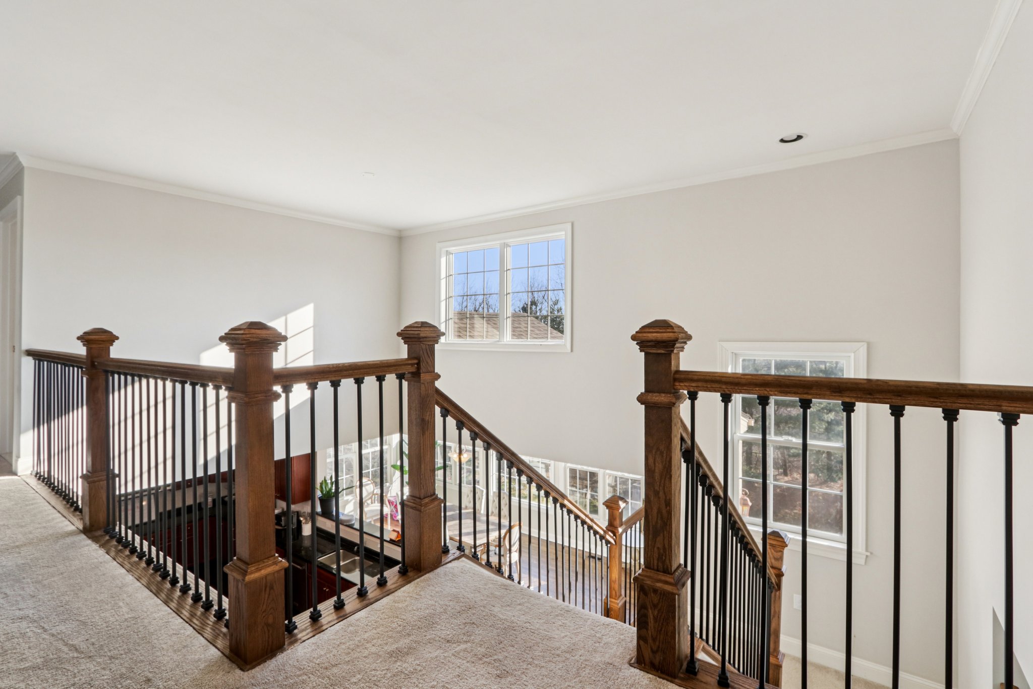 Lotus Ln-S2312-054.jpg