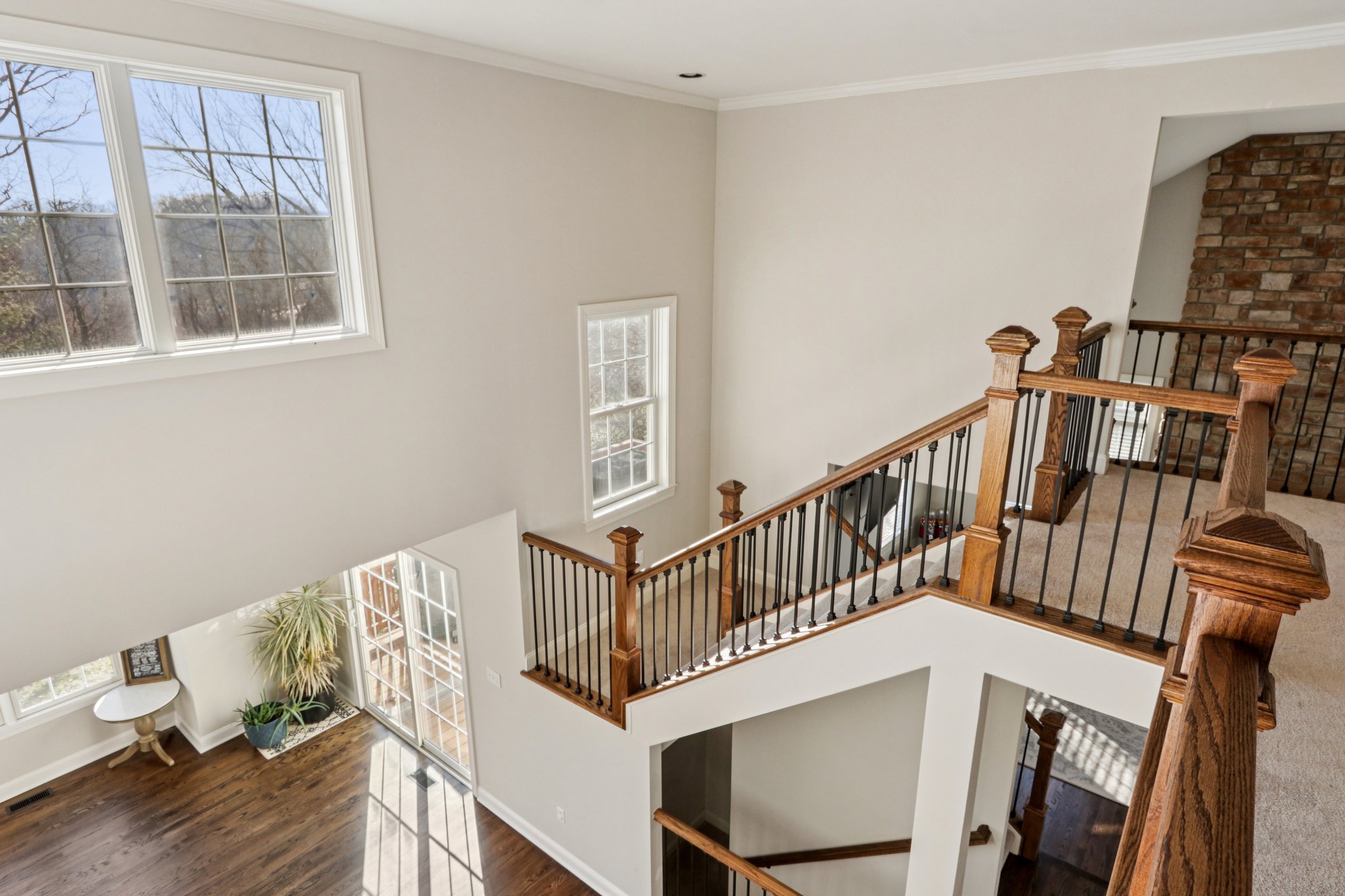 Lotus Ln-S2312-056.jpg