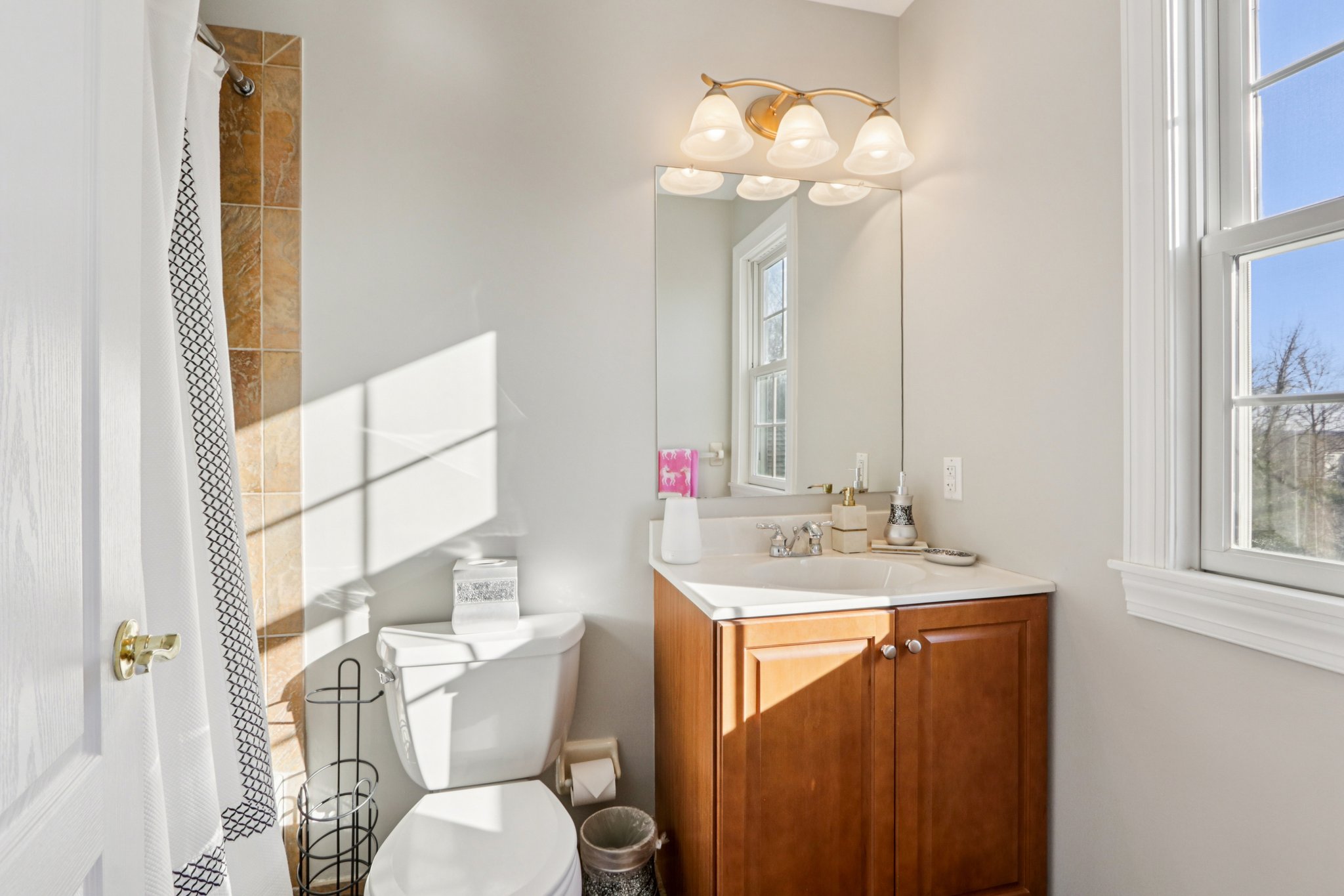 Lotus Ln-S2312-064.jpg