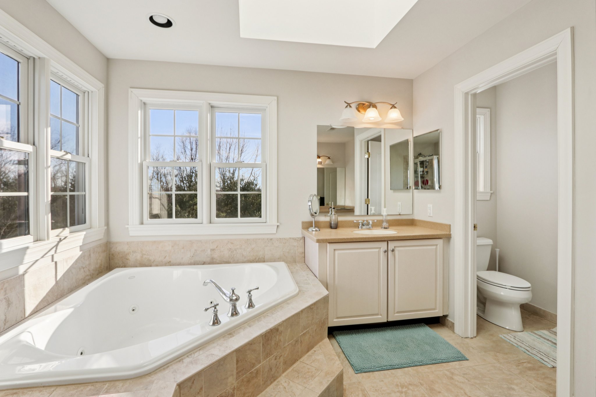 Lotus Ln-S2312-075.jpg