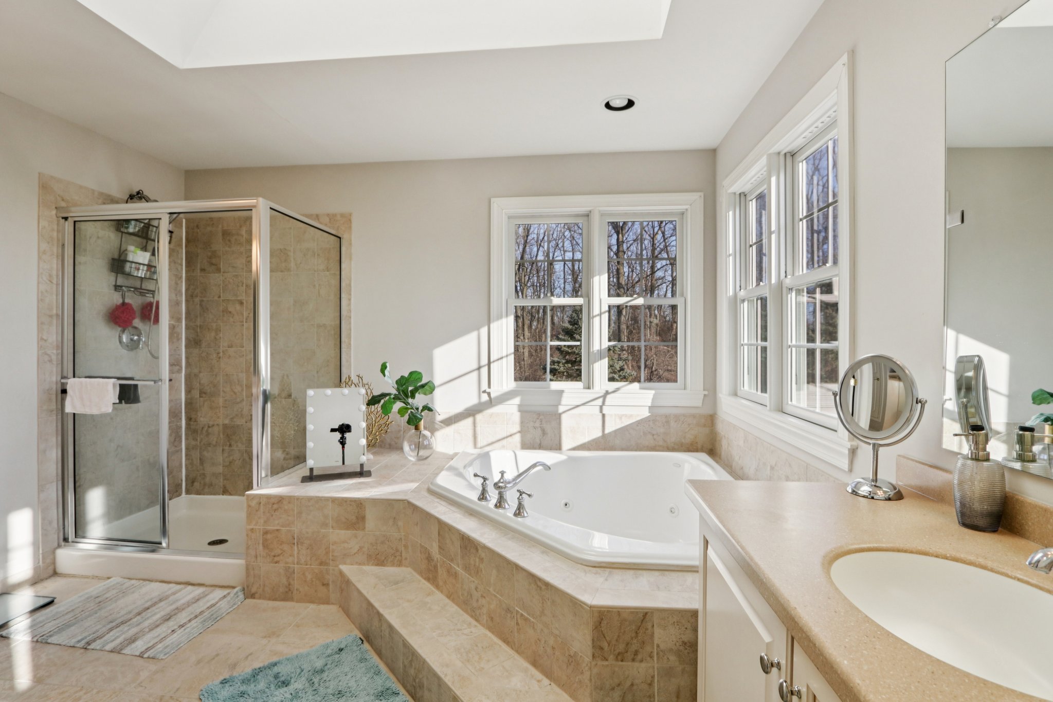 Lotus Ln-S2312-076.jpg