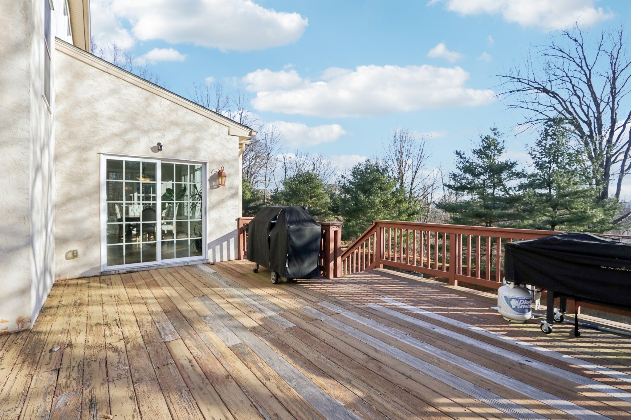 Lotus Ln-S2312-078.jpg