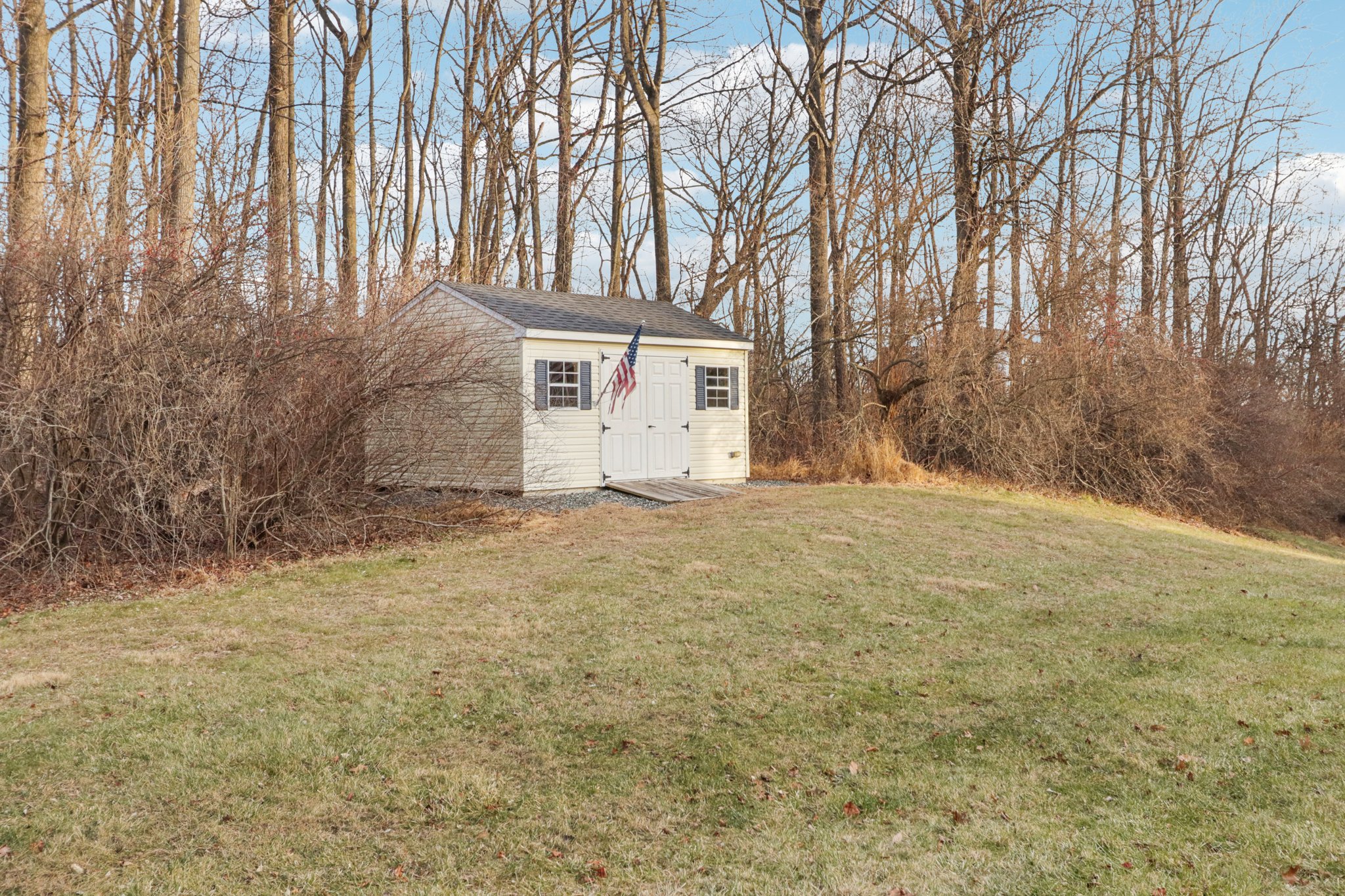 Lotus Ln-S2312-079.jpg