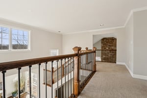 Lotus Ln-S2312-055.jpg