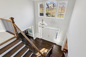 Lotus Ln-S2312-057.jpg