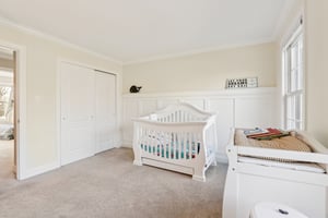 Lotus Ln-S2312-067.jpg