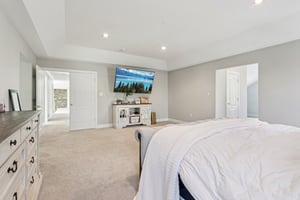 Lotus Ln-S2312-071.jpg