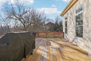 Lotus Ln-S2312-077.jpg