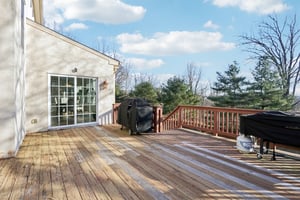 Lotus Ln-S2312-078.jpg