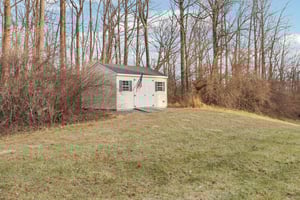 Lotus Ln-S2312-079.jpg