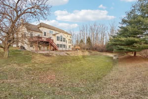 Lotus Ln-S2312-081.jpg