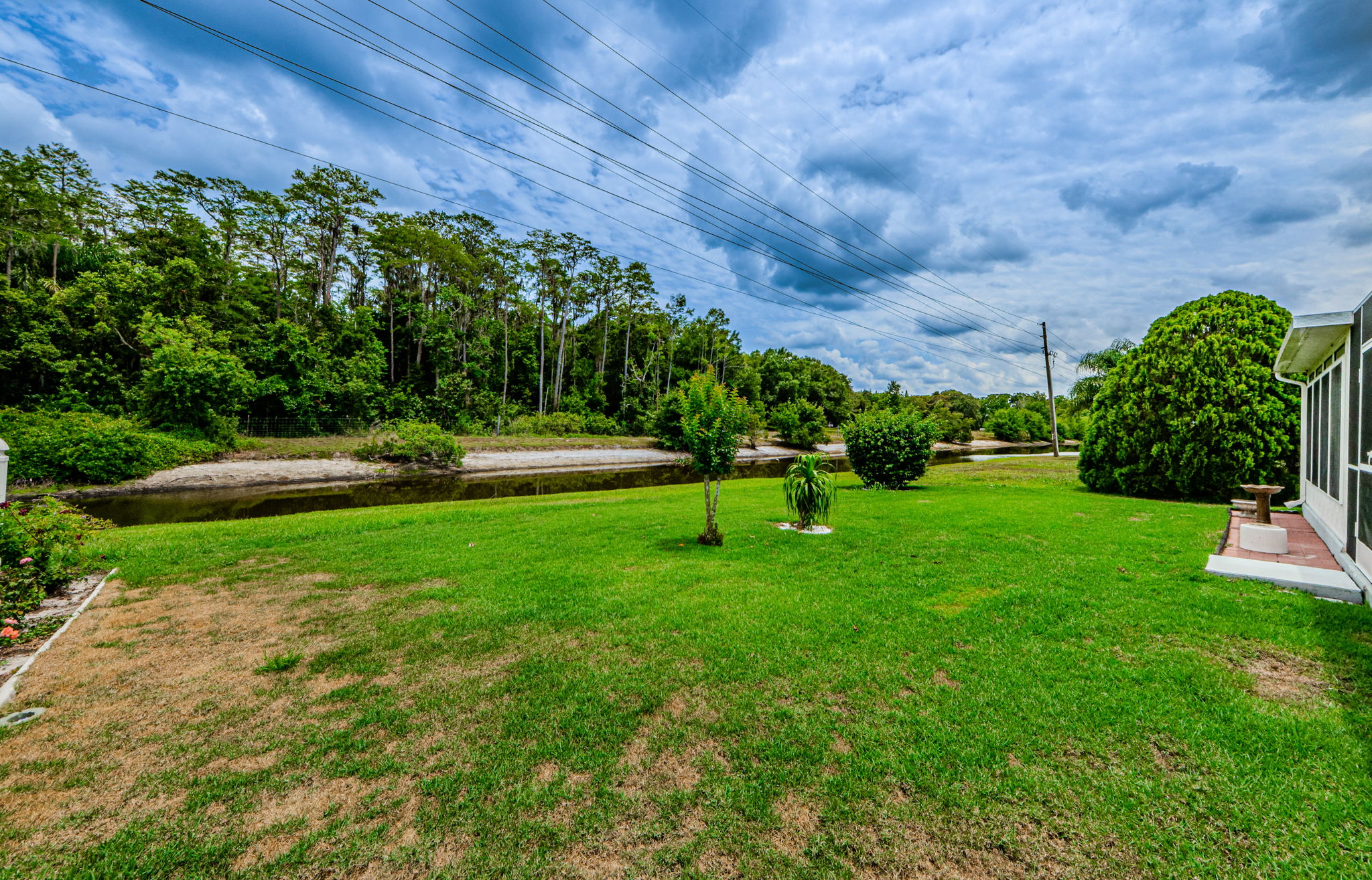 Backyard 1