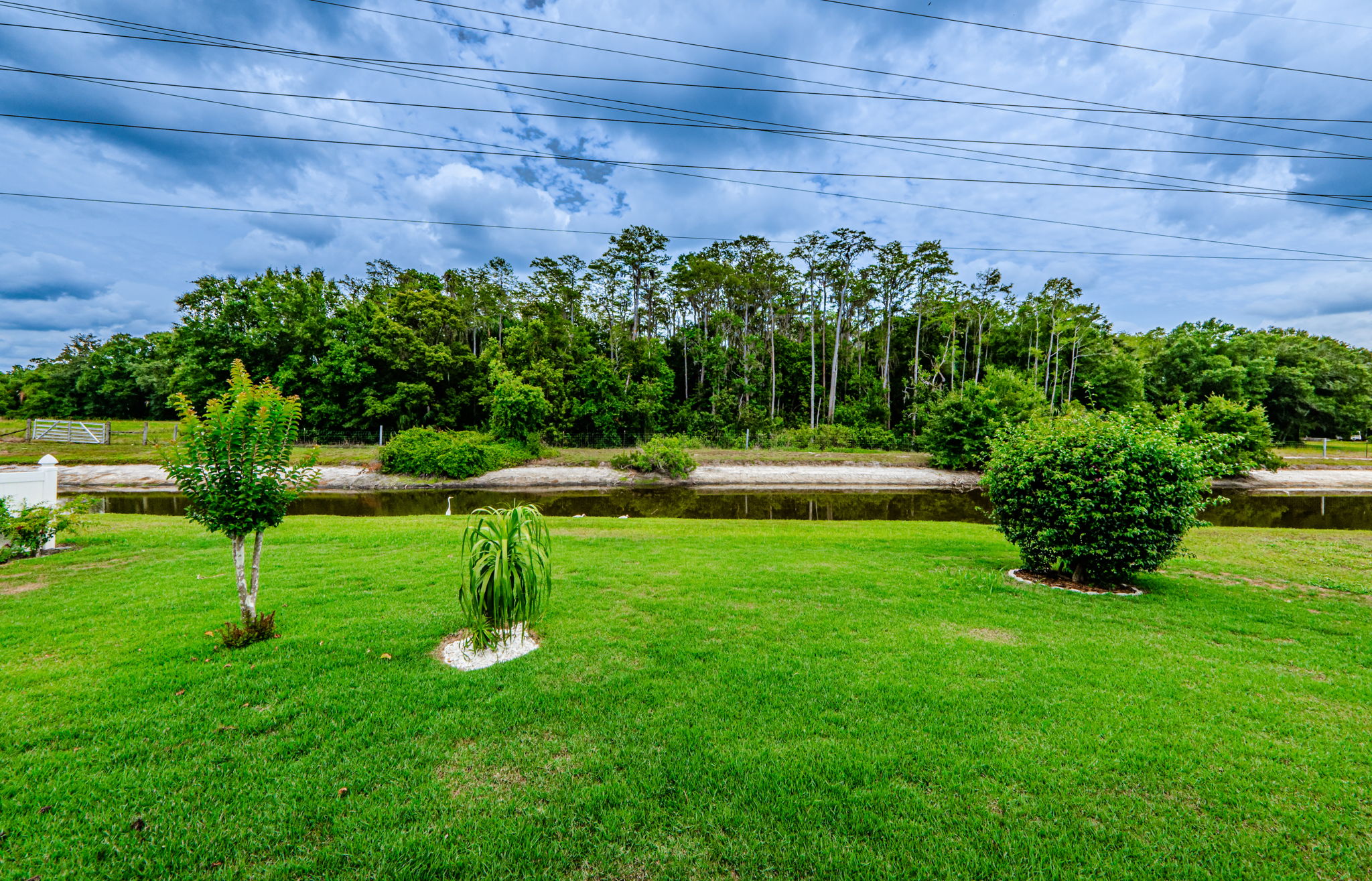 Backyard View 2